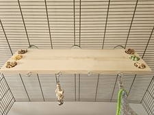 Jumbo treat ledge - jumbo,