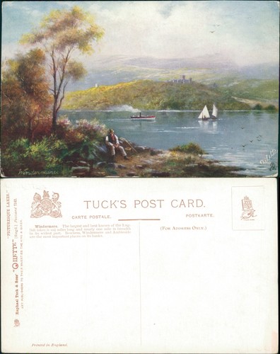 Windermere tucks oilette 7142 - tucks,
