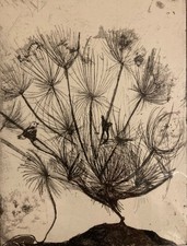 Original Handmade Copper Plate