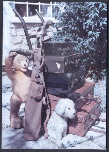 Modern postcard teddy bear - modern,