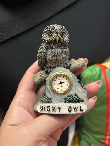 Pigmy owl clock - owl, decoration