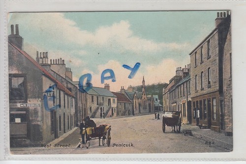 Horse carts west street - in,