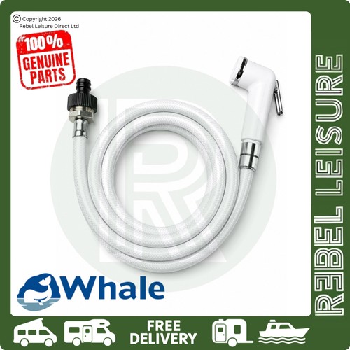 Whale compact external - 💧whale,