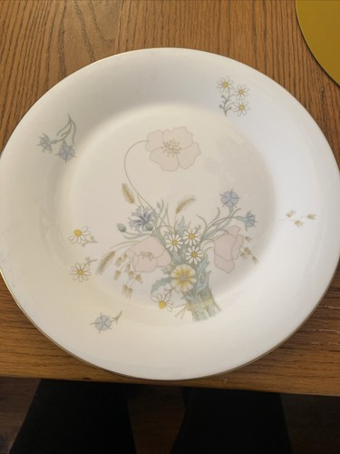 Royal doulton dinner plates - plates, x