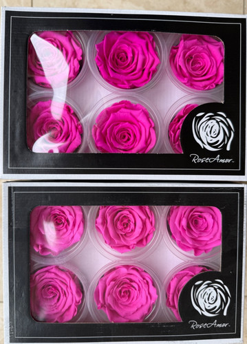 Shocking pink preserved - pink,