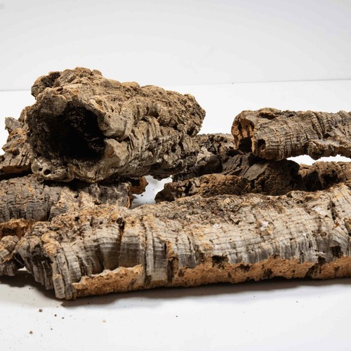 Cork bark pieces finest - bark,