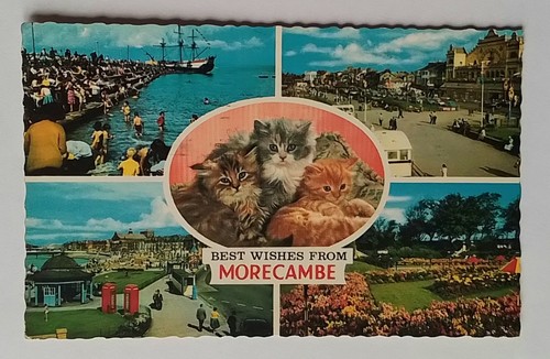 Vintage muliview postcard - vintage,