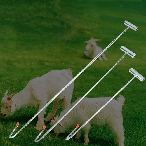 Sheep catcher pole farm - pole,