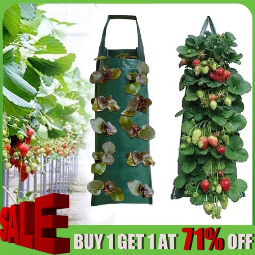 Fabric wall hanging planting - fabric,
