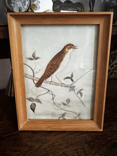 Original 1920s antique bird - 1920s,