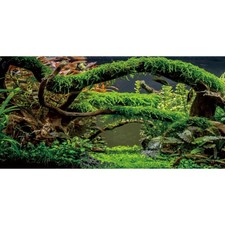 48x24 inches Aquarium