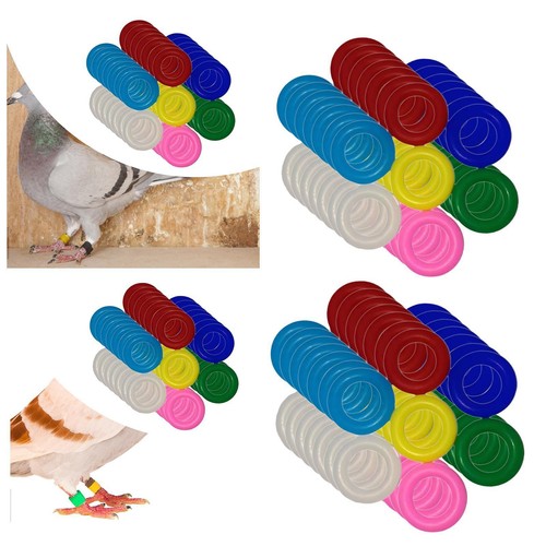 Bird identification foot - bird,
