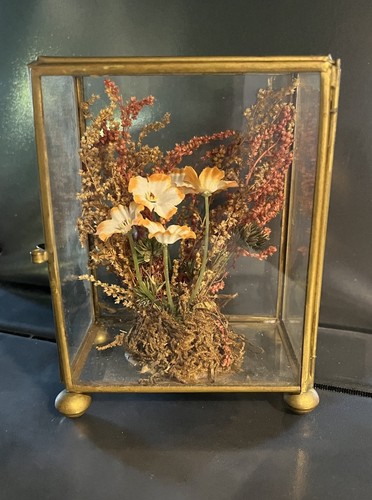 Vintage glass brass curio - glass,