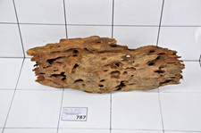 Aquarium natural driftwood - aquarium,