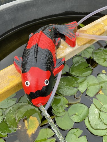 Concrete utsuri koi - concrete, hi