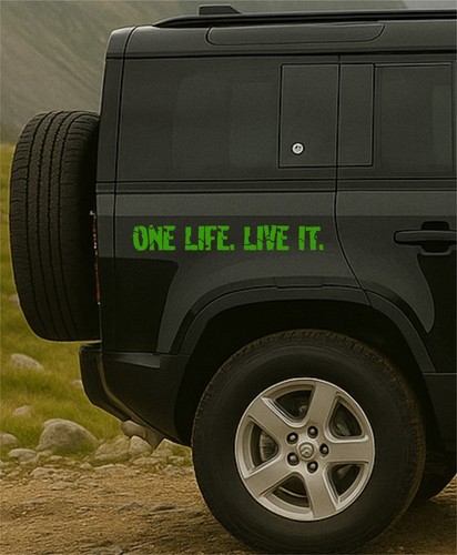 One life live - x,