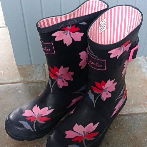 Joules molly welly - joules,