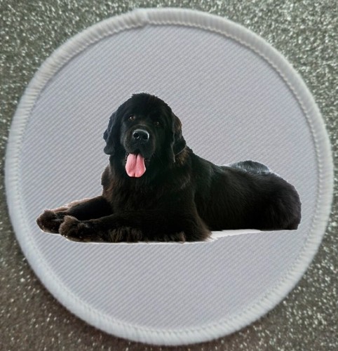 Newfoundland dog iron sew - 3", /