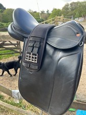 saddle company dressage 17:5