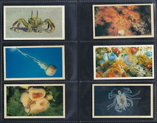 PLAYER (GRANDEE) - THE LIVING OCEAN - FULL SET OF 30 CARDS