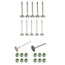 Inlet Valve Set + Stem Gasket