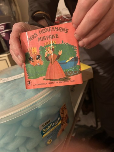 Mrs honeymans mistake book - honeymans,