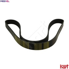 VRIBBED BELT 369 009 FOR