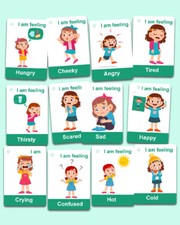 Feelings & Emotions Flashcards