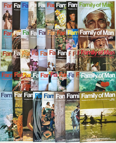 Family man partworks - family,
