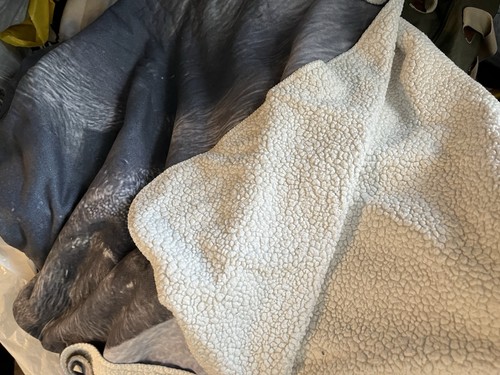 Unique reversible - unique,
