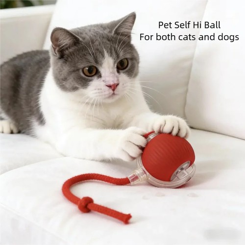 Rechargeable smart cat ball - smart,