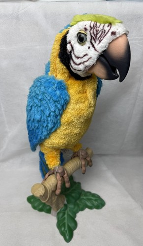 Furreal friend squawkers mccaw - furreal,