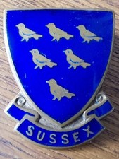Sussex Vintage Enamel Pin