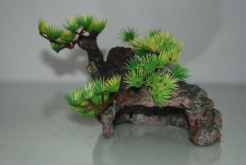 Vivarium bonsai with - vivarium,