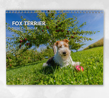 Fox Terrier Calendar 2026