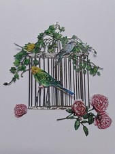 TWO RED ROBINS SILVER BIRD