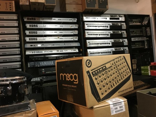 Moog rack minimoog - rack,