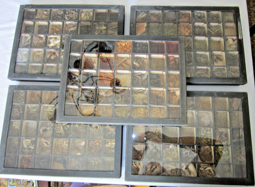 Collection crude drugs - of,