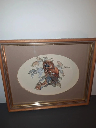 Framed owl picture raised - 3d,
