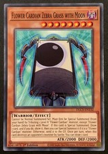 Flower Cardian Zebra Grass