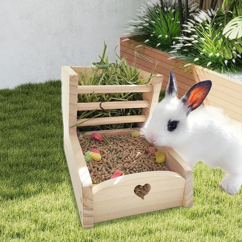 Rabbit hay feeder cage - rabbit,
