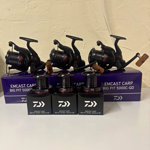 Daiwa emcast carp - big, pit