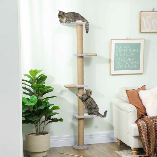 Wall mounted cat shelves - mounted,