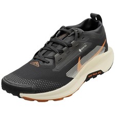 Nike Pegasus Trail 5 Gore-tex