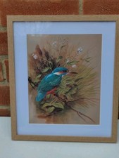Basil Ede Print 1965, Kingfisher, Birds of Town & Village, New Frame, Excel Cond