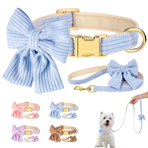 Cute bow tie dog - cute, collar