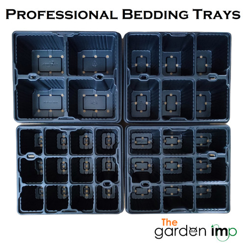 Bedding plant trays - plant,
