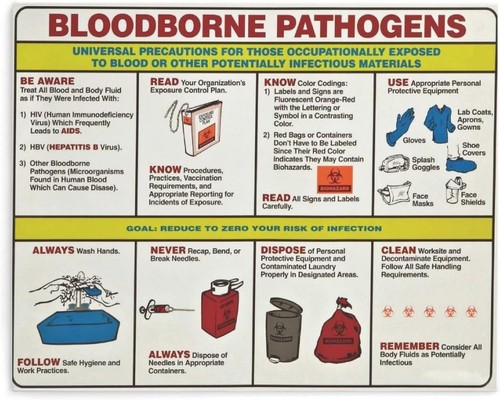 Bloodborne pathogens safety - bloodborne,
