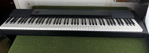 Casio cdp120 digital piano - cdp120,