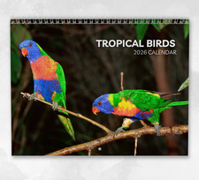Tropical Birds Calendar 2026